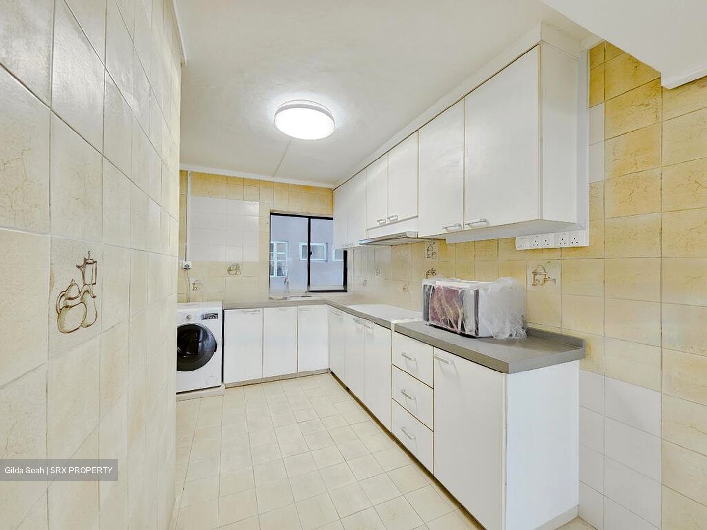 Dunearn Road (D11), Condominium #482575911